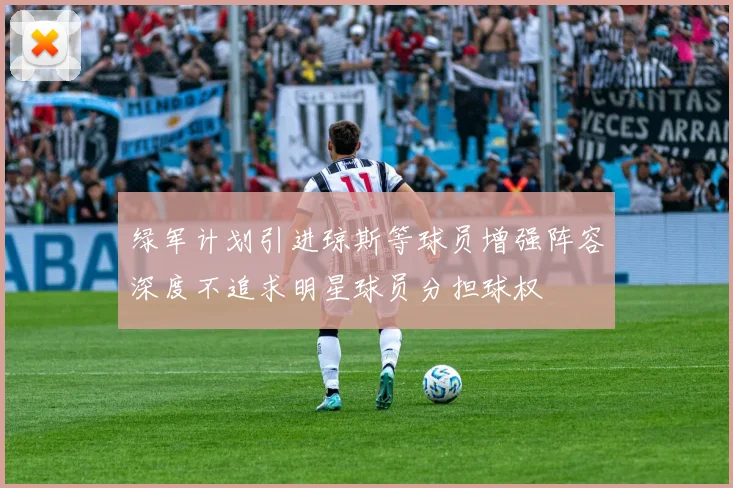 绿军计划引进琼斯等球员增强阵容深度不追求明星球员分担球权