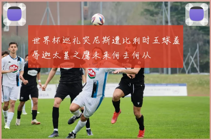 世界杯巡礼突尼斯遭比利时五球羞辱迦太基之鹰未来何去何从