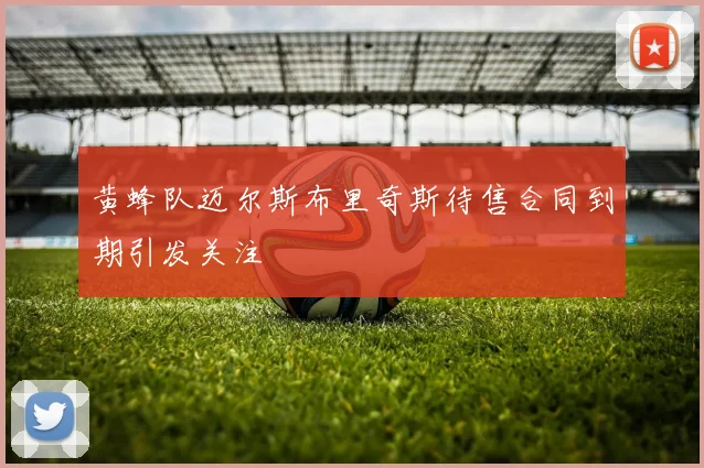 黄蜂队迈尔斯布里奇斯待售合同到期引发关注